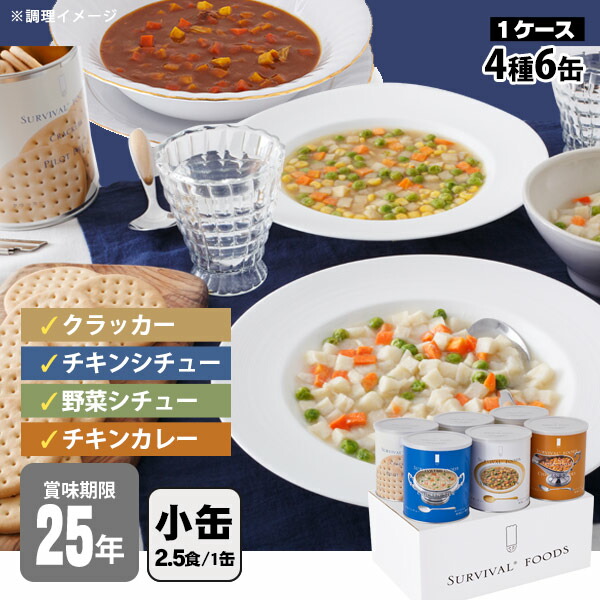 非常食1日セット８箱入り 非常食セット 25年保存 サバイバルフーズ バラエティセット 大缶