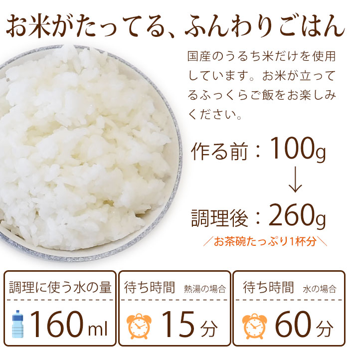 尾西食品〕 アルファ米/保存食 〔白飯 100g×500個セット〕 日本災害食