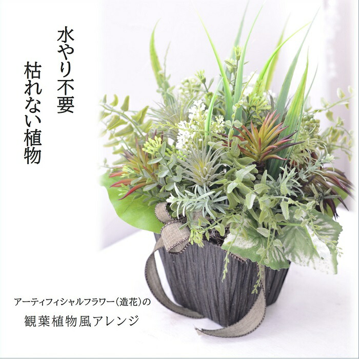 日本ファッション 通販 フェイクグリーン 観葉植物 造花 インテリアグリーン ナチュラル モダン シンプル お洒落 おしゃれ 人気 新築祝い 引っ越し祝い 事務所移転 事務所 リビング キッチン トイレ 光触媒 春 夏 秋 冬 多肉 常夏グリーン お祝い プレゼント 玄関 造花