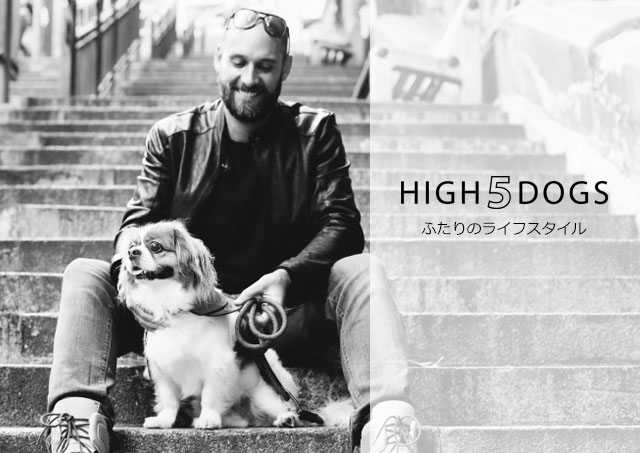 エレガントで機能的なハーネス High5dogs レザーバックルハーネス 犬 おもちゃ S Mサイズ ベッド 全２色 犬 雑貨 犬 胴輪 革 こだわりのペット用品 バディーズ上質な革が使い込むほどにパートナーのカラダに馴染みます 人気沸騰ブラドン の 100 の保証 の