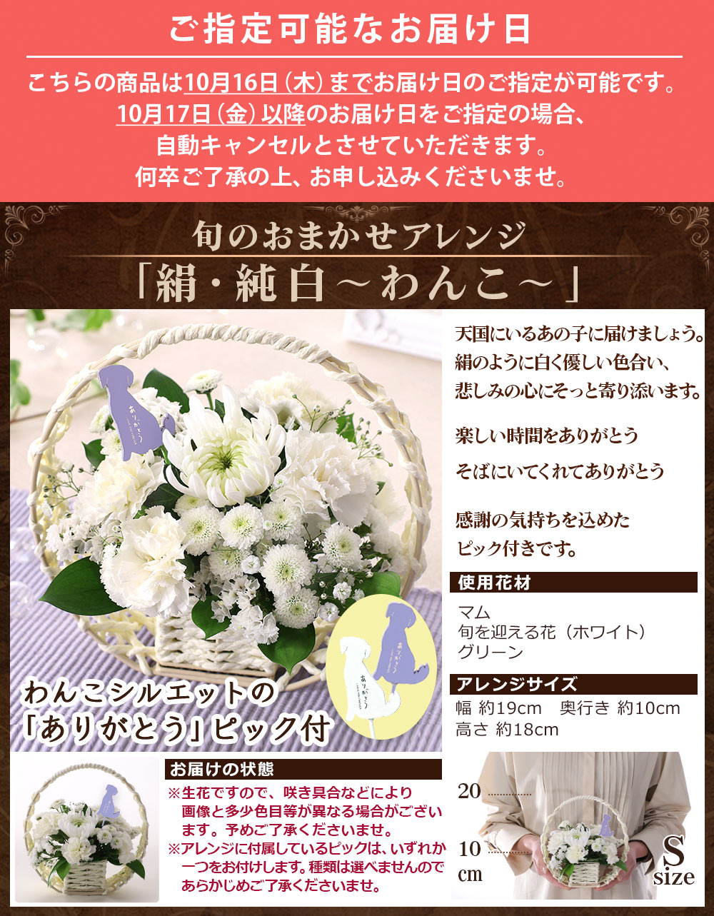 あす楽 14時まで 花 ペット お悔やみ お悔み お供え 供養 送料無料 メモリアル アレンジ お盆 命日 誕生日 ギフト プレゼント フラワー アレンジメント 供花 仏花 お彼岸 四十九日 虹の橋 洋風 和風 供花 喪中 お見舞い Crunchusers Com