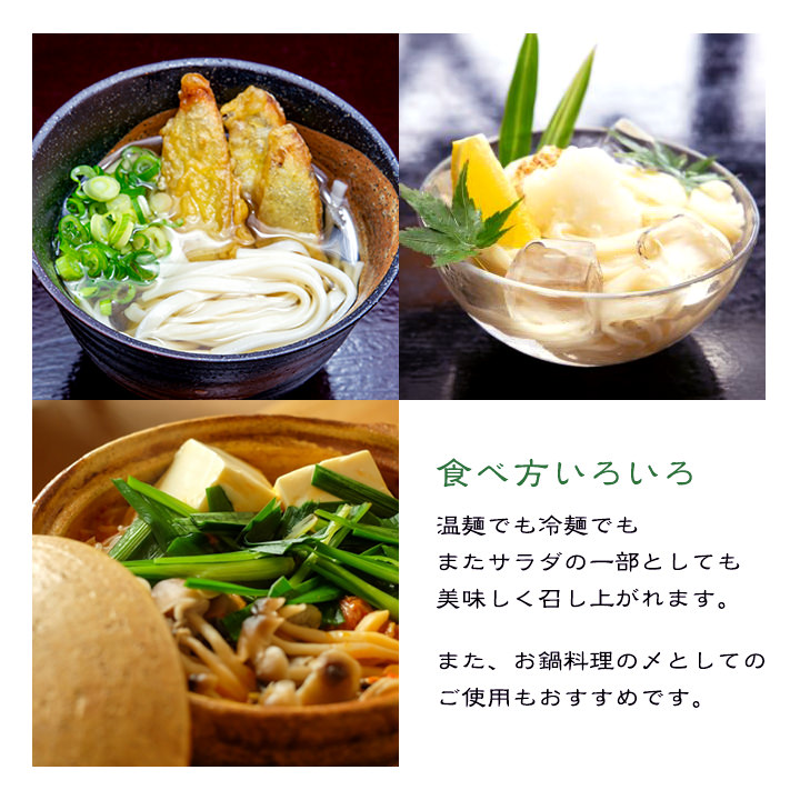 九州ちくごうどん15袋入りたけ屋 九州 Basic お取り寄せ 福岡 福岡県よかもんショップ 生まれのブランドで 福岡