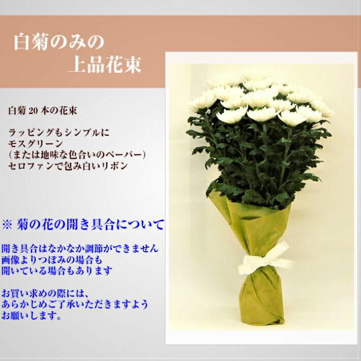 お供え 花 白菊の花束 本 献花 仏花 墓花 お供え用切り花 菊の花束 Educaps Com Br