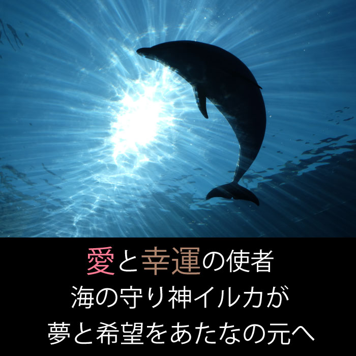 楽天市場 恋愛 金運 イルカ しっぽ ハワイ お守り アクセサリー ネックレス 幸運 安全 無事 良縁 恋 運気 アップ おしゃれ シンプル かわいい プレゼント ギフト Care Design 楽天市場店