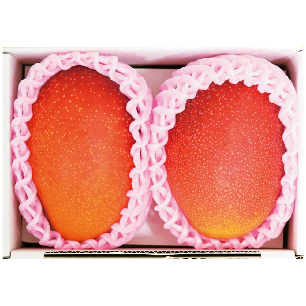 マラソンセール特価【夏ギフト】宮崎県産 完熟マンゴー　Y15-9＿果物 フルーツ 期間限定 旬 産地直送 御中元 お中元 ギフト 贈答用 贈り物 化粧箱入り