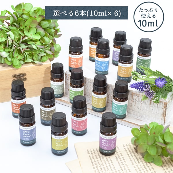 買得 アロマオイル 10ml イランイラン ゼラニウム オレンジスイート フローラル Sushitai Com Mx