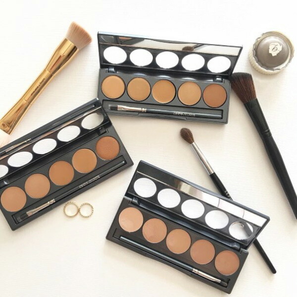 ファンデーションパレット イエローベージュアンダートーン Ultimate foudation 5-IN-1 PRO PALETTES＃300 / FPK300