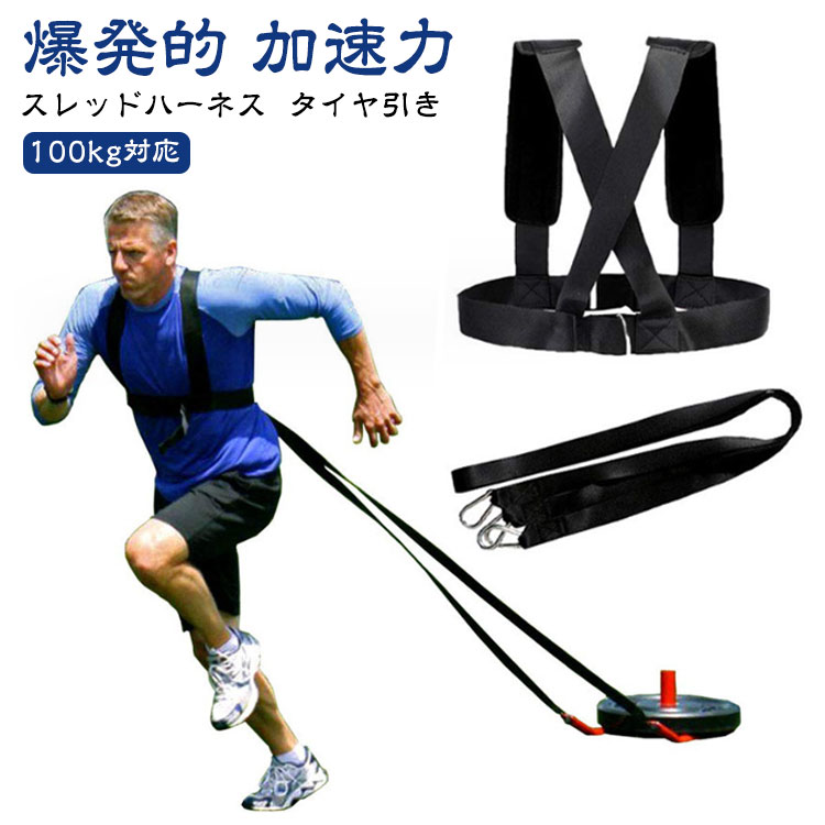 楽天市場】トレーニング用 そり スレッド ハーネス付 LINDSPORTS