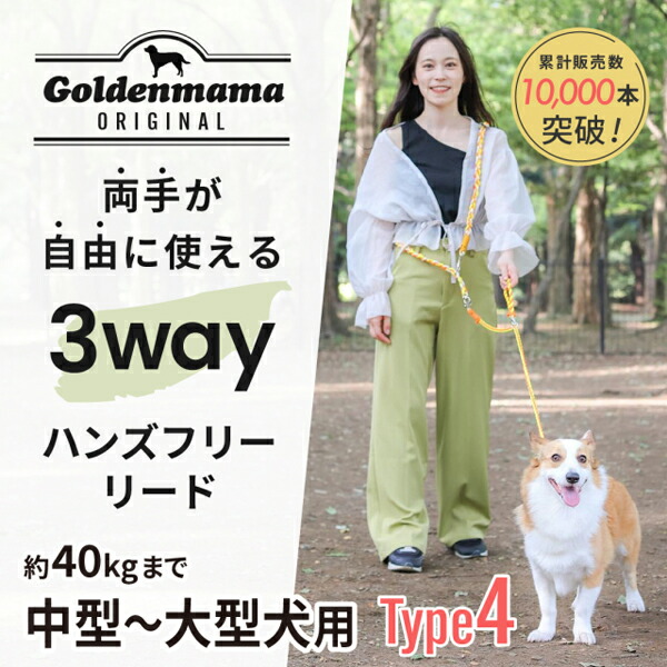 リシニュー　ハンズフリーリード　3m 希少新品 goldenmama_3way_type4_01.jpg