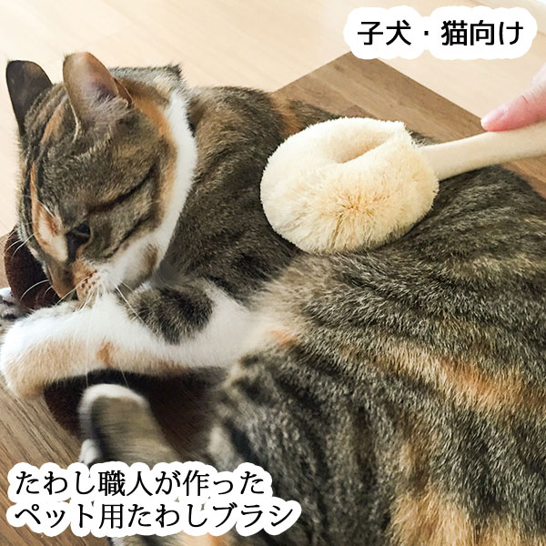 tawashi03.jpg