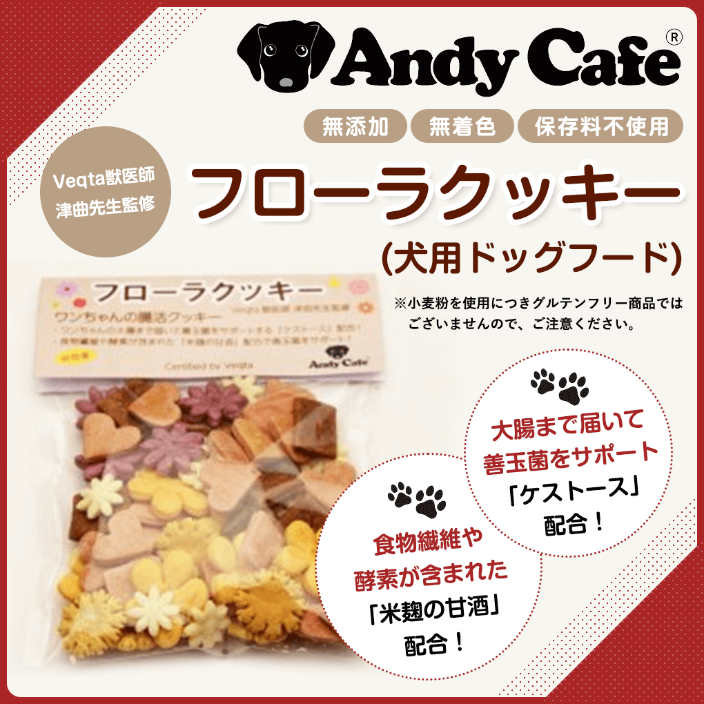 大人気 犬 おやつ 手作り アンディカフェ フローラクッキー 60g 犬用 腸活 クッキー こだわり お菓子 犬用 フード ペット おかし Motorrayd Com Br