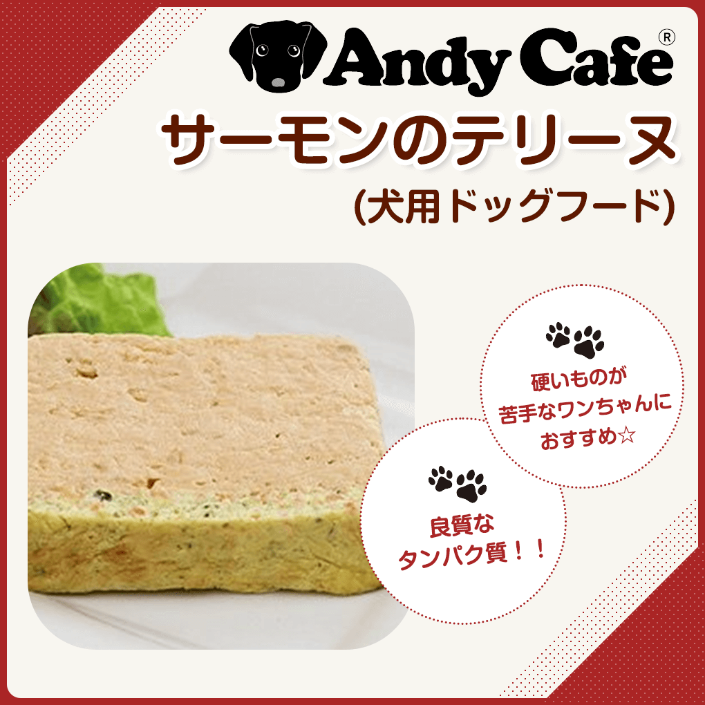 犬 おやつ ８０ｇ 犬用 サーモンのテリーヌ アンディカフェ 手作り