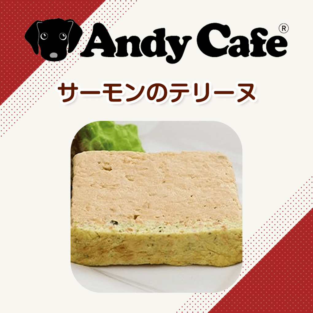 犬 おやつ 犬用 おかず お菓子 こだわり ごはん アンディカフェ サーモンのテリーヌ ドッグフード フード ペット 手作り 犬用 ８０ｇ 最安値 手作り