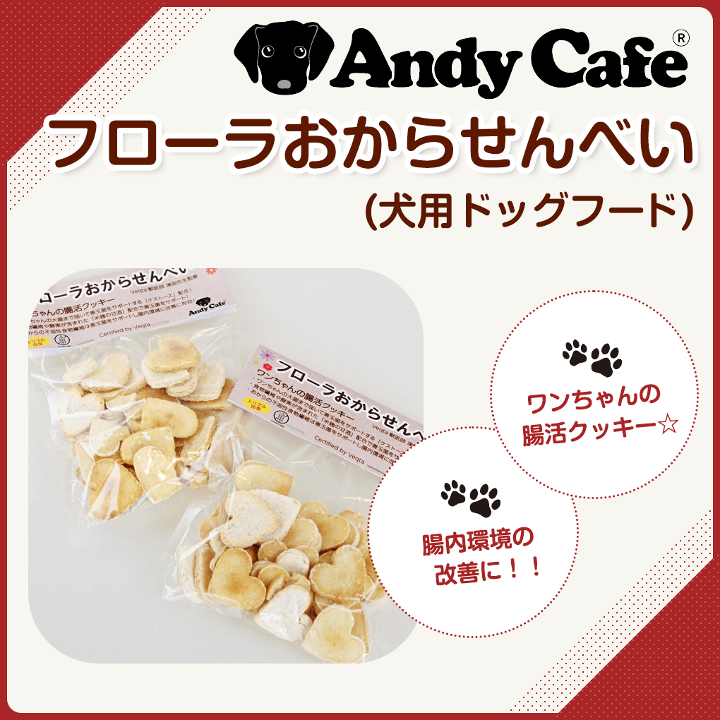 市場 犬 おから 腸活 手作り クッキー おやつ アンディカフェ フローラおからせんべい５０ｇ 犬用