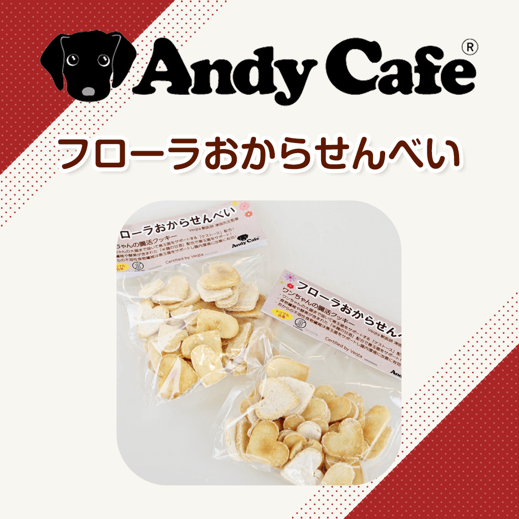 市場 犬 アンディカフェ クッキー 手作り フローラおからせんべい５０ｇ※犬用 おやつ 腸活 おから