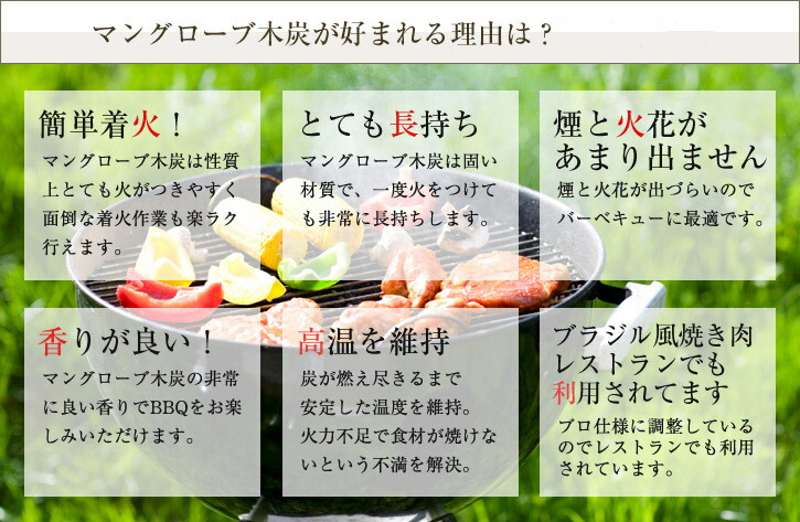 楽天市場 環境にやさしいオガ木炭 5kg バーベキュー q キャンプファイヤー 料理 暖炉 ストーブ 焚火 天然 木製 マングローブ 木ノ花 Market