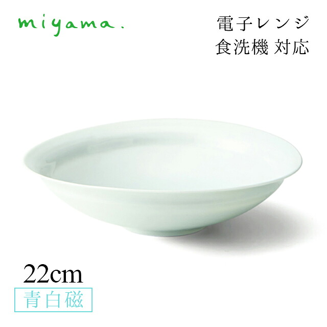タマゴ鉢 22cm 2枚セット ロクべ locube 青白磁 川昌製陶所 深山陶器 miyama（KRO102LB）おしゃれ 美濃焼 水色 電子レンジ可 食洗機可