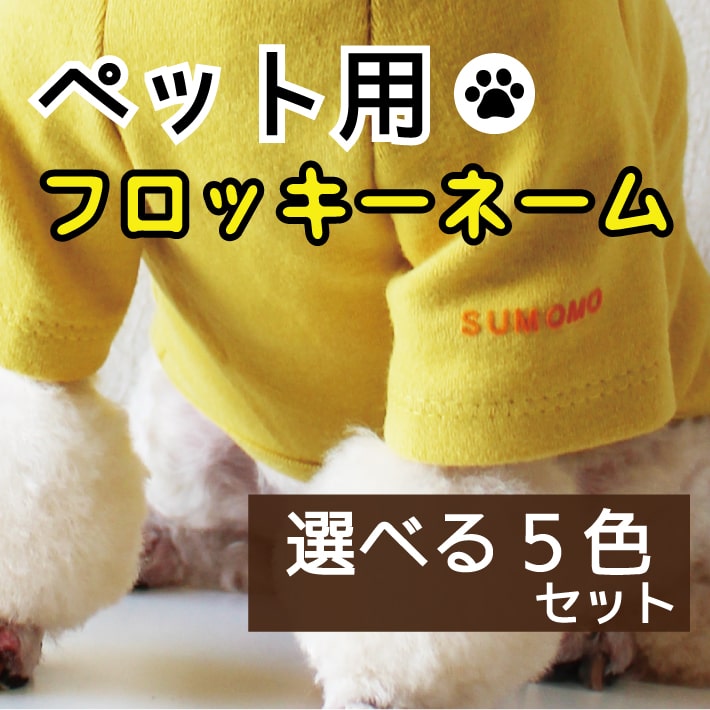 市場 ペット用フロッキーネーム 大容量 送料無料 お名前シール 名入れ お名前フロッキー プレゼント 70片 アイロン ５色選べる 布用 シール 転写