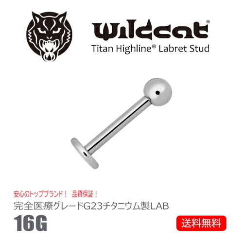楽天市場】ボディピアス ストレートバーベル 16G Barbell チタン 黒