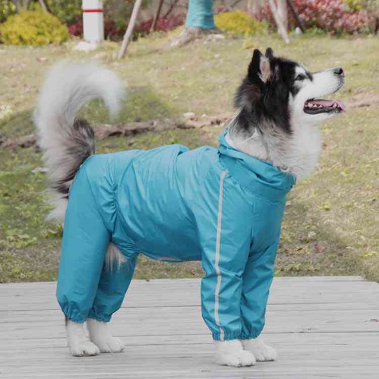 Sale 75 Off 送料無料 ゴム付き 犬 犬の服 レインウェア ドッグウェア 散歩 パーカー 雨具 防水 レインコート 帽子付き 透明キャップ 4本足 大型犬 ポンチョ 汚れ防止 夜間反射 着脱簡単 軽量 防風 Qdtek Vn Sale 75 Off 送料無料 ゴム付き 犬 犬の服 レインウェア ドッグウェア 散歩 パーカー 雨具 防水 レインコート 帽子付き 透明キャップ 4本足 大型犬 ポンチョ 汚れ防止 夜間反射 着脱簡単 軽量 防風 Qdtek Vn