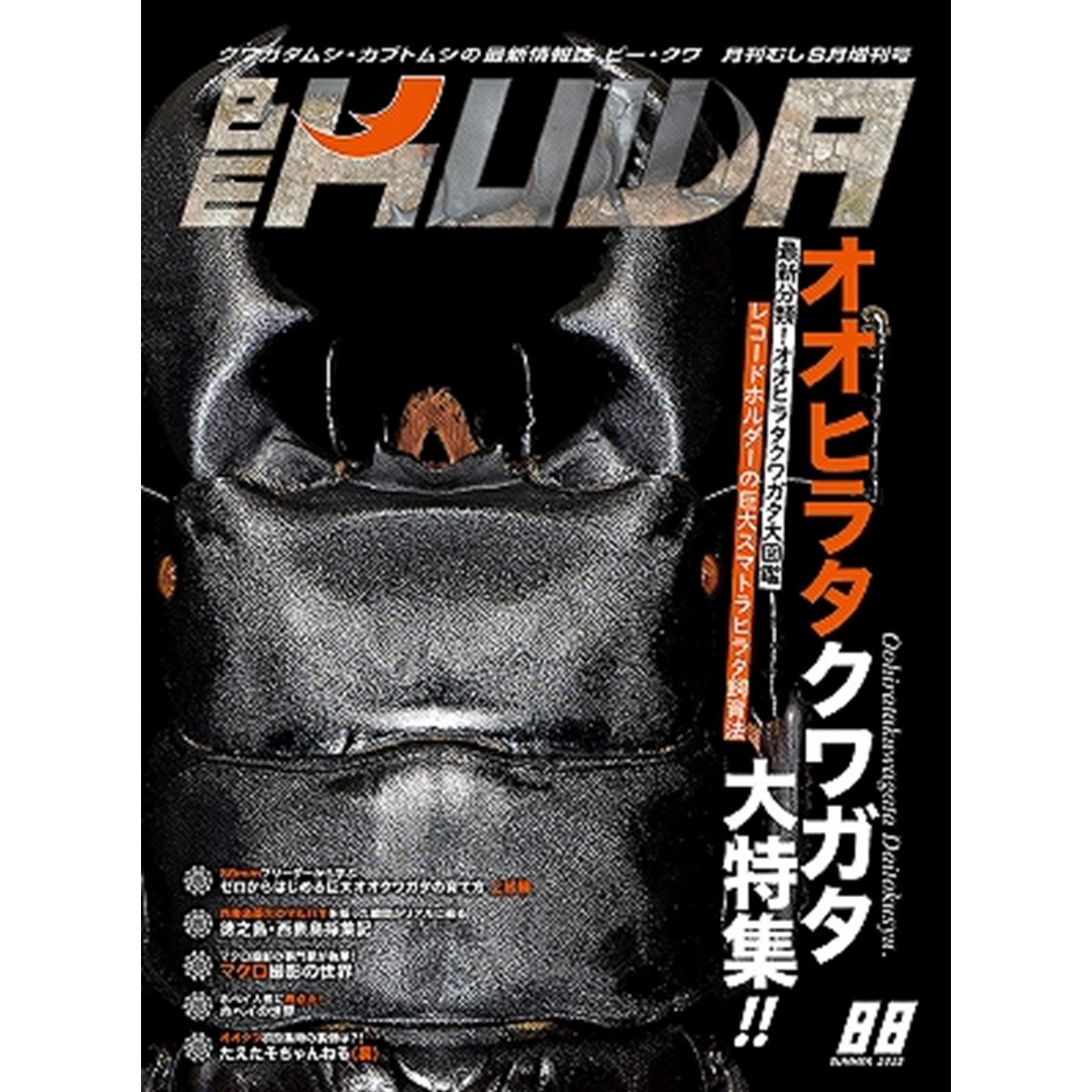 ビークワ 19冊 まとめ売り ビークワ89号[707]