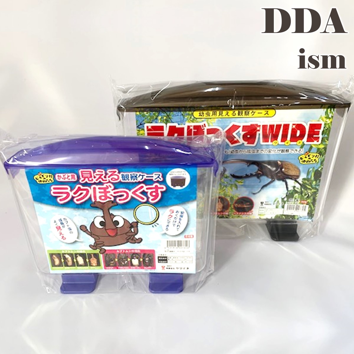 ラクぼっくすワイド　新品6個セット 楽天市場】幼虫用見える観察ケース・ラクボックスワイド