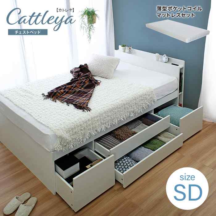 マットレス書き割り 虚蝉ダブル 納める臥榻 カトレヤ Cattleya 抽き出し付き添い人 大電気容量 納める付き添い人臥榻 棚付き添い人 差し込み付き添い人 宮付き添い人 薄型ポケットコイルマットレスセット 木製臥榻 北欧 今めかしい 枠組み書き割り