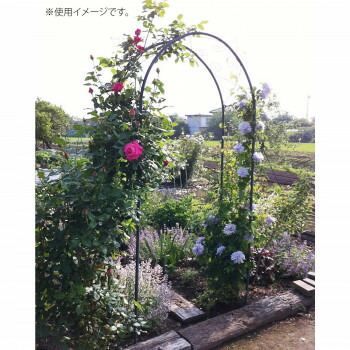 ガーデンアーチ ガーデン 特大 バルコニーアーチ 用品 柵 園芸 つる性植物 アーチ 庭 メッシュ ガーデニング スリム フェンス