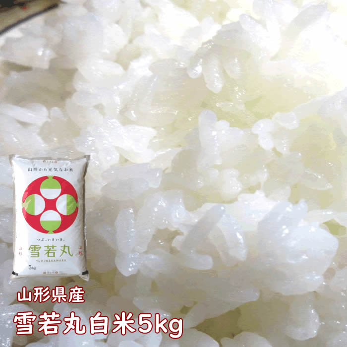 山形県庄内産　はえぬき　白米25kg　Ｇセレクション 山形県庄内産 はえぬき 玄米25kg Gセレクション