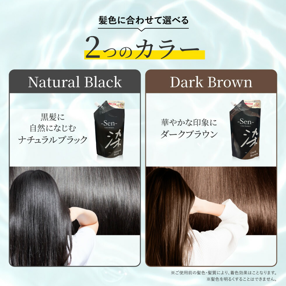 公式】 白髪染め シャンプー 450g 1本で3役 カラーシャンプー 白髪