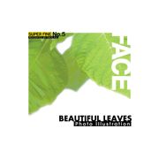 【マラソンp2倍】SUPER FINE No.5 BEAUTIFUL LEAVES CD-ROM素材集 送料無料 ロイヤリティ フリー cd-rom画像 cd-rom写真 写真 写真素材 素材