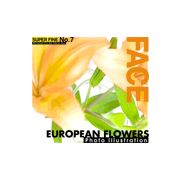 【SS p2倍】SUPER FINE No.7 EUROPEAN FLOWERS CD-ロム原料品集 貨物輸送無料 特許権使用料 無償性 シーディー-romすがた絵 シーディー-rom活動写真 活動写真 活動写真原料品 原料品