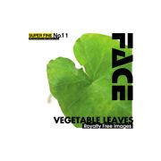 【SS p2倍】SUPER FINE No.11 VEGETABLE LEAVES CD-ロム原料品集 貨物輸送無料 特許権使用料 無償性 シーディー-romすがた絵 シーディー-rom活動写真 活動写真 活動写真原料品 原料品