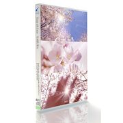 【SS p2倍】GRAN IMAGE A511 太陽の光桜 CD-ロム原料品集 貨物輸送無料 特許権使用料 無償性 シーディー-romすがた絵 シーディー-rom活動写真 活動写真 活動写真原料品 原料品