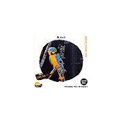 【SS p2倍】仕立て上げる原料品 鳥Vol.3 CD-ロム原料品集 貨物輸送無料 特許権使用料 無償性 シーディー-romすがた絵 シーディー-rom活動写真 活動写真 活動写真原料品 原料品