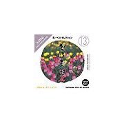 【マラソンp2倍】創造素材 Zシリーズ [13] 花 ベストセレクション CD-ROM素材集 送料無料 ロイヤリティ フリー cd-rom画像 cd-rom写真 写真 写真素材 素材