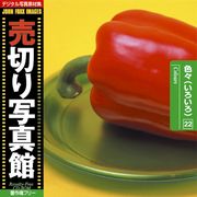 【SS p2倍】売切り活動写真館 JFI 022 色々（いろいろ） Colours CD-ロム原料品集 貨物輸送無料 特許権使用料 無償性 シーディー-romすがた絵 シーディー-rom活動写真 活動写真 活動写真原料品 原料品