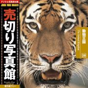 【SS p2倍】売切り活動写真館 JFI 028 毛の荒物界 The Animal Kingdom CD-ロム原料品集 貨物輸送無料 特許権使用料 無償性 シーディー-romすがた絵 シーディー-rom活動写真 活動写真 活動写真原料品 原料品