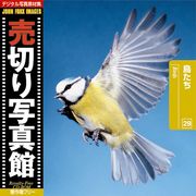 【SS p2倍】売切り活動写真館 JFI 029 鳥たち Birds CD-ロム原料品集 貨物輸送無料 特許権使用料 無償性 シーディー-romすがた絵 シーディー-rom活動写真 活動写真 活動写真原料品 原料品