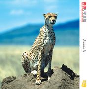 【SS p2倍】売切り活動写真館 JFI 048 毛の荒物たち CD-ロム原料品集 貨物輸送無料 特許権使用料 無償性 シーディー-romすがた絵 シーディー-rom活動写真 活動写真 活動写真原料品 原料品