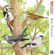 【マラソンp2倍】売切り写真館 VIP 053 世界の鳥 CD-ROM素材集 送料無料 ロイヤリティ フリー cd-rom画像 cd-rom写真 写真 写真素材 素材