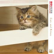 【SS p2倍】売切り活動写真館 大物 063 猫お父ちゃんたち CD-ロム原料品集 貨物輸送無料 特許権使用料 無償性 シーディー-romすがた絵 シーディー-rom活動写真 活動写真 活動写真原料品 原料品