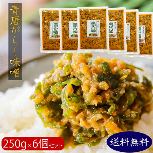 送料無料 青唐辛子味噌 250g 6個セット 青とうがらし ご飯のお供 信州味噌 青唐がらし味噌