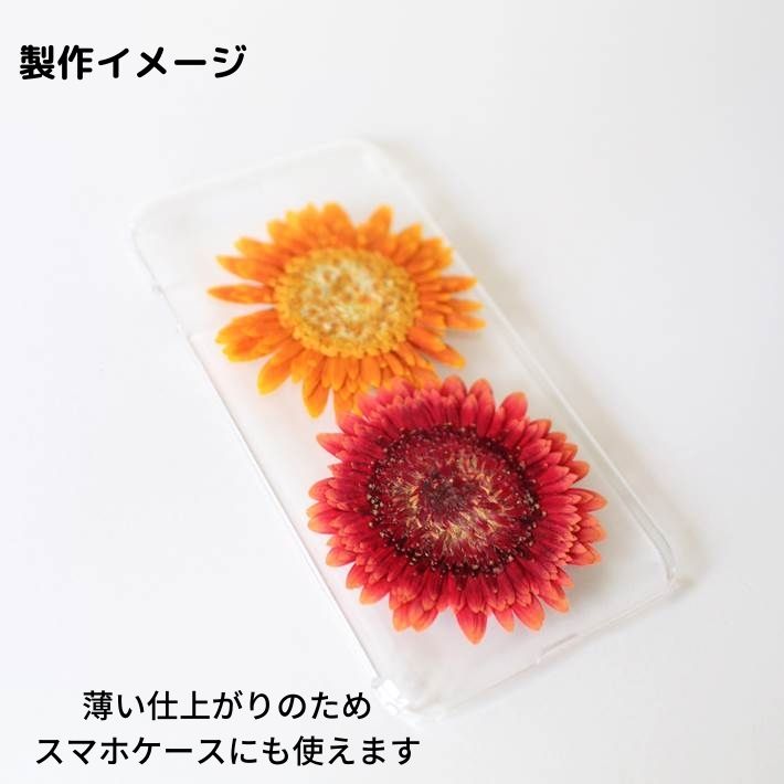 押し花 素材 スマホケース 固まるハーバリウム キャンドル ガーベラ 3輪色ミックス 押し花額 レジン 押し花 素材 スマホケース 固まるハーバリウム キャンドル ガーベラ 3輪色ミックス 押し花額 レジン