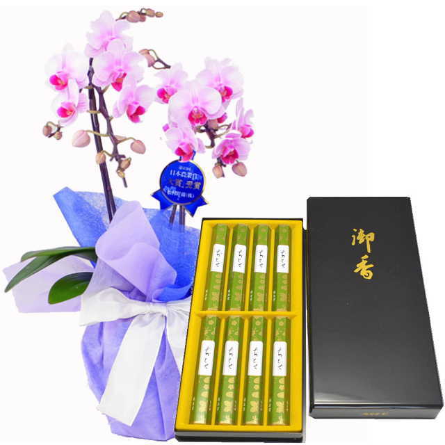 胡蝶蘭と鳩居堂のお線香 線香セット ピンク色 ミディ胡蝶蘭 花 白檀のもつ爽やかな香り 進物 ギフト フラワーショップ乃木坂 胡蝶蘭 鳩居堂 ちとせ 鳩居堂 お供え ちとせ ピンク色 2本立 ちとせセット