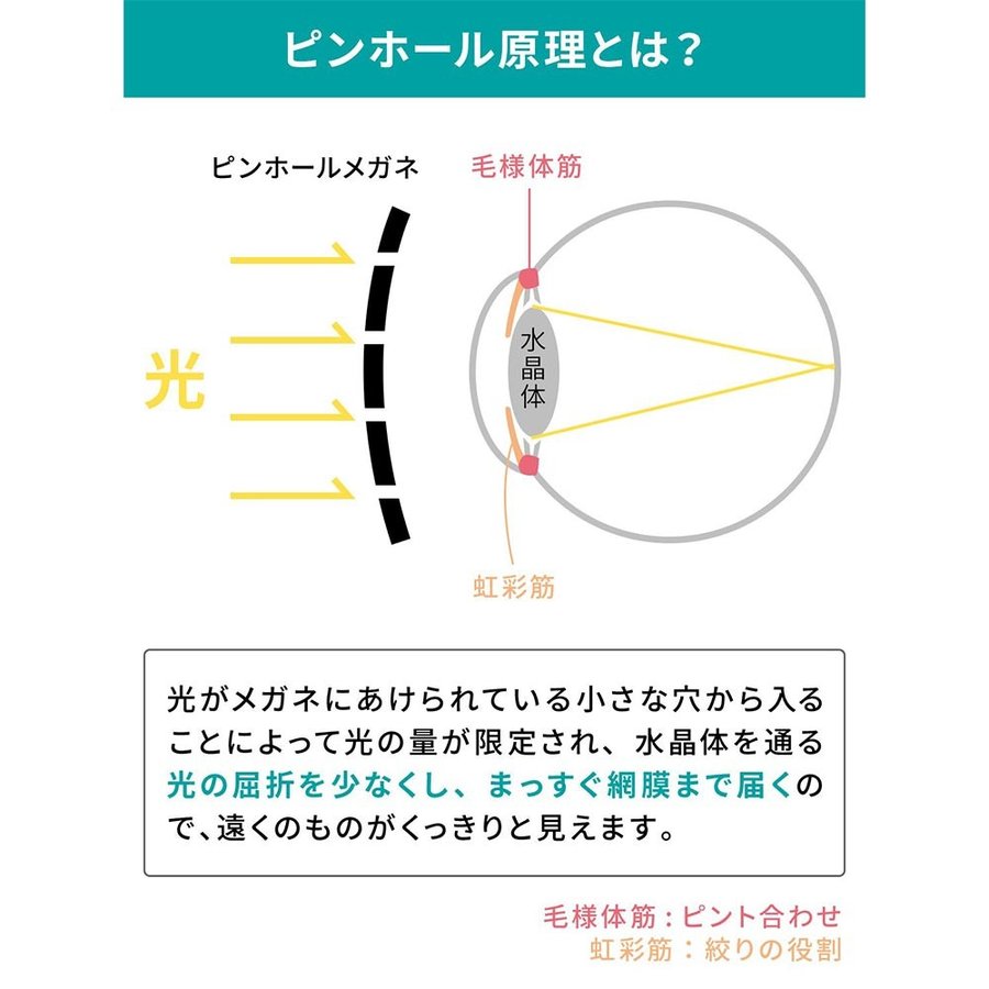 楽天市場 5 14 10 59まで 100円offクーポン ピンホールメガネ リフレッシュ 動体視力 視力トレーニング 鍛える メガネ 眼筋運動 遠近 兼用 リフレッシュ ウェイファーラー タイプ Eco Ride World タブレット スマホホルダーecoride