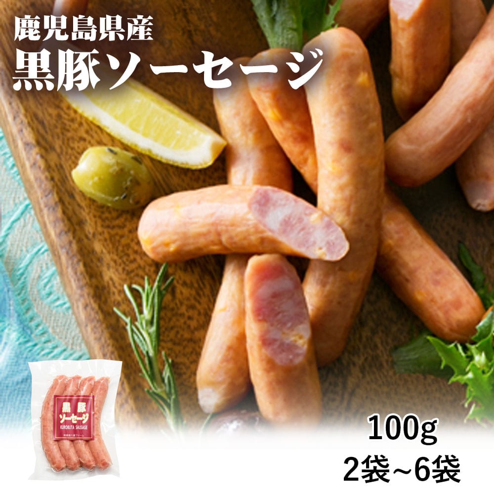 【クーポン利用で200～5000円OFF】【新生活におすすめ】鹿児島県産 黒豚ソーセージ 100g 2～6袋 生ハム オードブル ビール 鹿児島県 新生活 職場 同僚 取引先 産地直送 お取り寄せ ギフト プレゼント 贈り物 送料無料