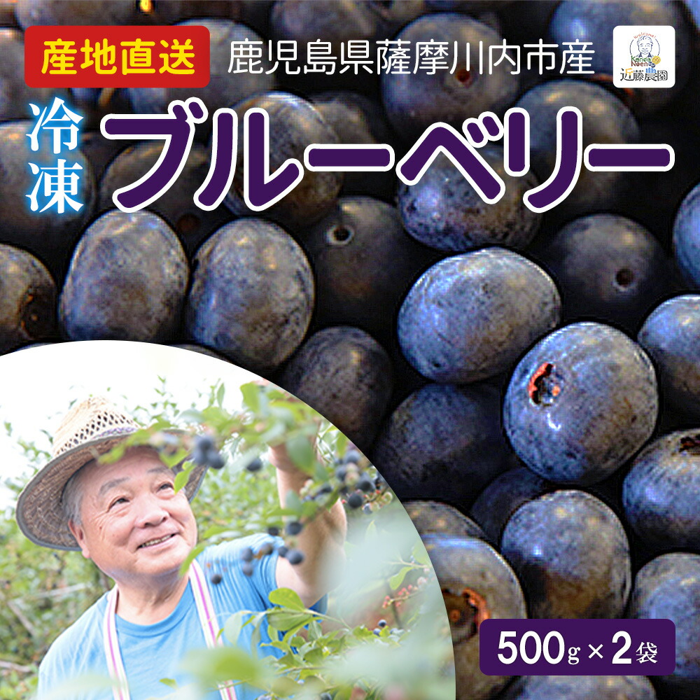 送料無料 国産 鹿児島県産 冷凍ブルーベリー 1kg  近藤農園 産地直送 無農薬 大容量 ブルーベリー フローズン フルーツ スムージー シャーベット お取り寄せ グルメ 果物 美味しい ギフト 業務用