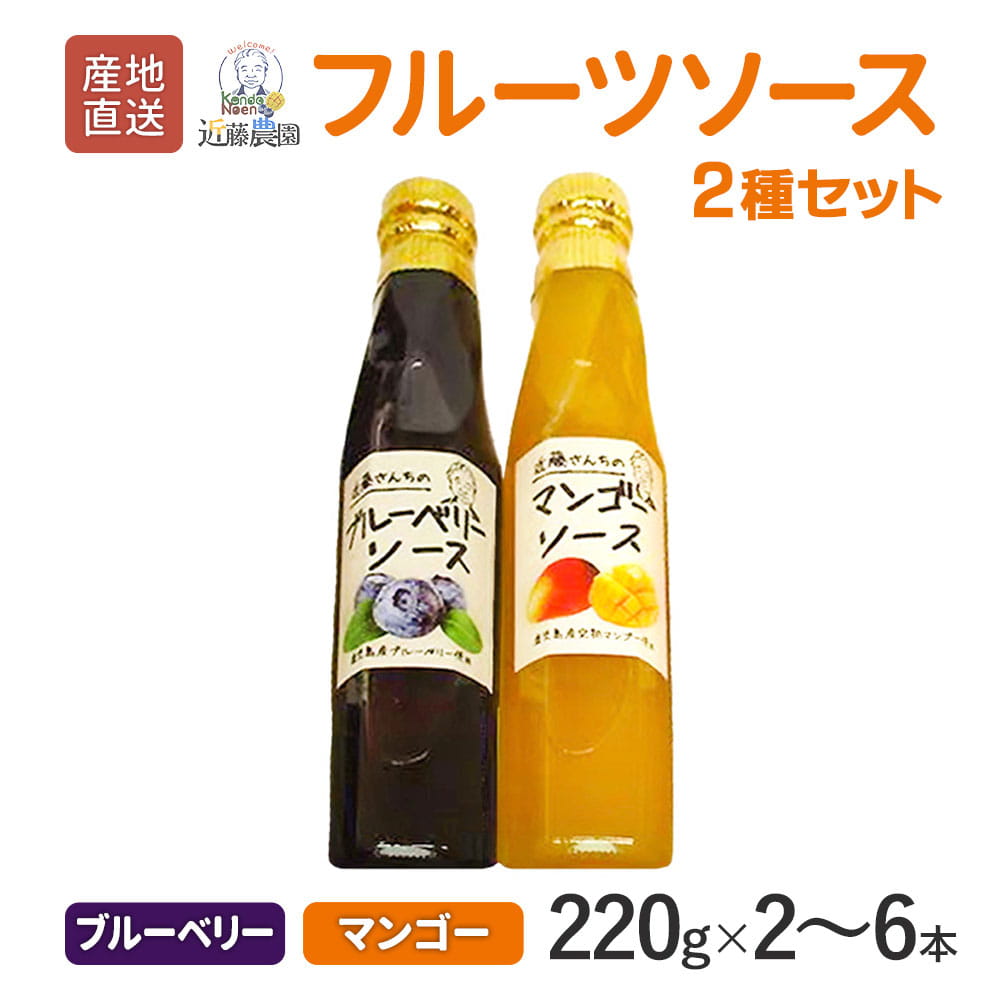 【クーポン利用で200～5000円OFF】【新生活におすすめ】鹿児島県産 フルーツソース セット ( ブルーベリー・マンゴー ) 220g 計2本 / 6本 ヨーグルト 国産 鹿児島県 新生活 職場 同僚 取引先 産地直送 お取り寄せ ギフト プレゼント 贈り物 送料無料