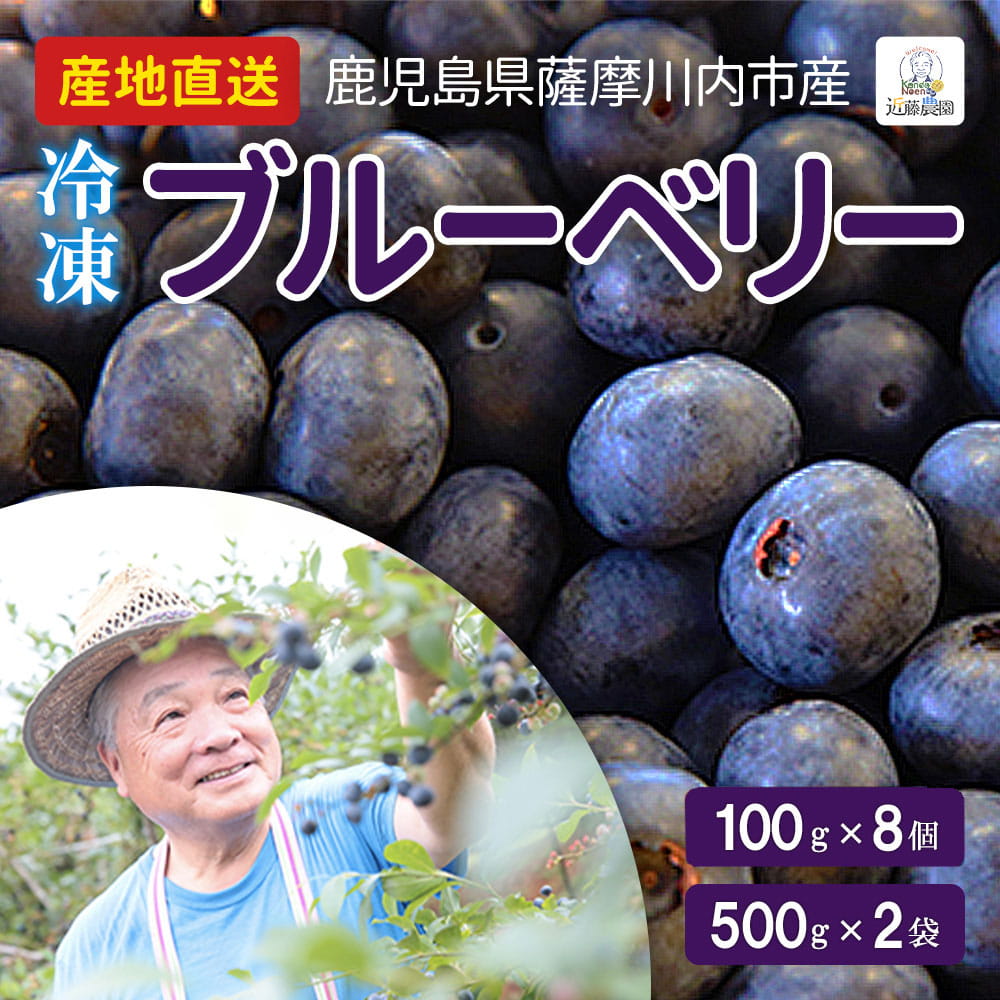 【クーポン利用で200～5000円OFF】【新生活におすすめ】鹿児島県産 冷凍ブルーベリー 800g / 1kg 国産 無農薬 業務用 鹿児島県 新生活 職場 同僚 取引先 産地直送 お取り寄せ ギフト プレゼント 贈り物 送料無料